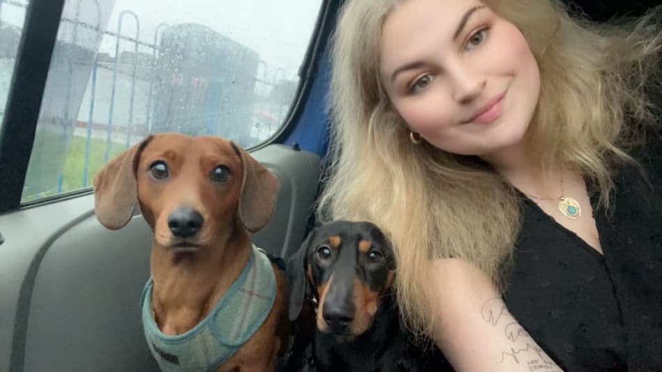 Dog Walking Blackwood