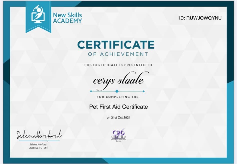 Dog Walking Blackwood First Aid Cerficate